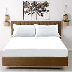 Fitted Sheet Double Cotton Silky