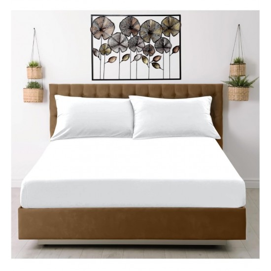 Fitted Sheet Double Cotton Silky